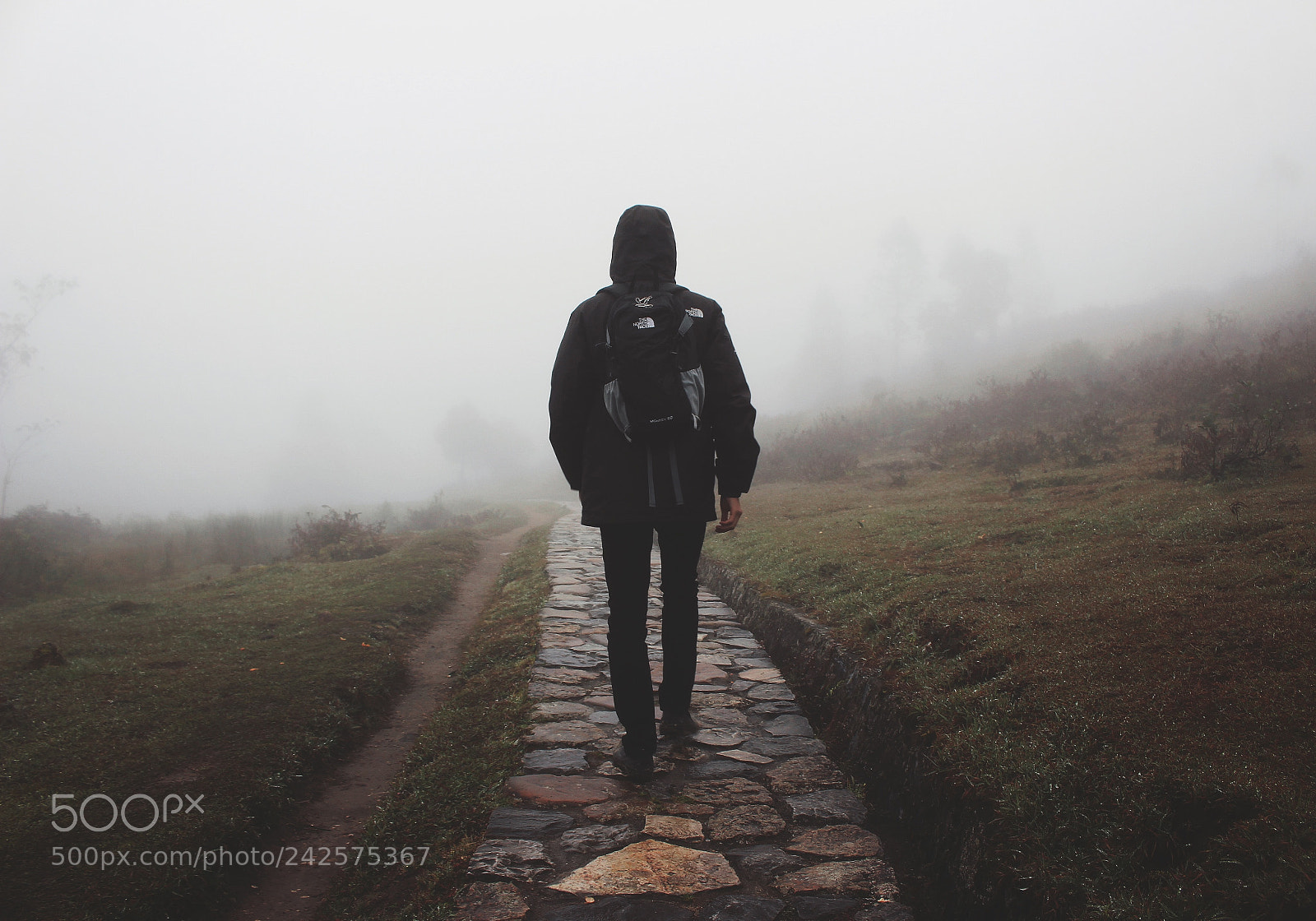 Canon EOS 100D (EOS Rebel SL1 / EOS Kiss X7) sample photo. Into the mist photography