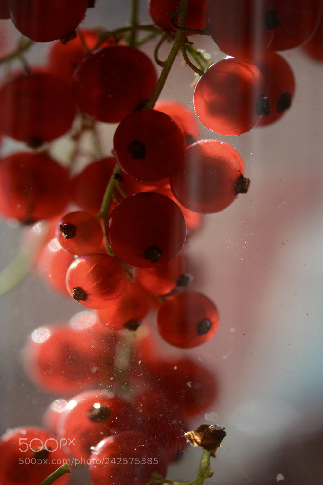 Nikon D600 sample photo. Untitled photography