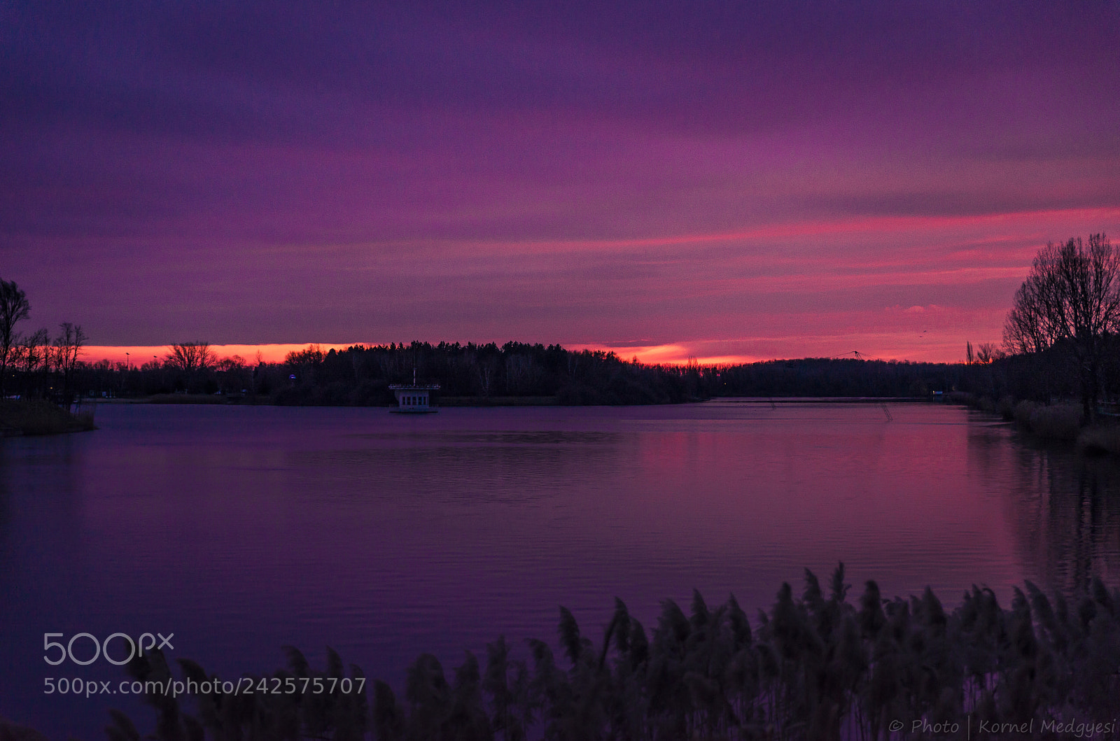 Nikon D610 sample photo. Sunset lake photography