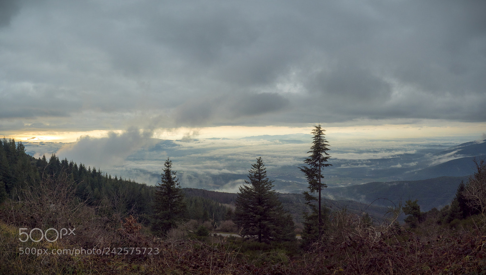Panasonic Lumix DC-GH5 sample photo. Des de el montseny photography