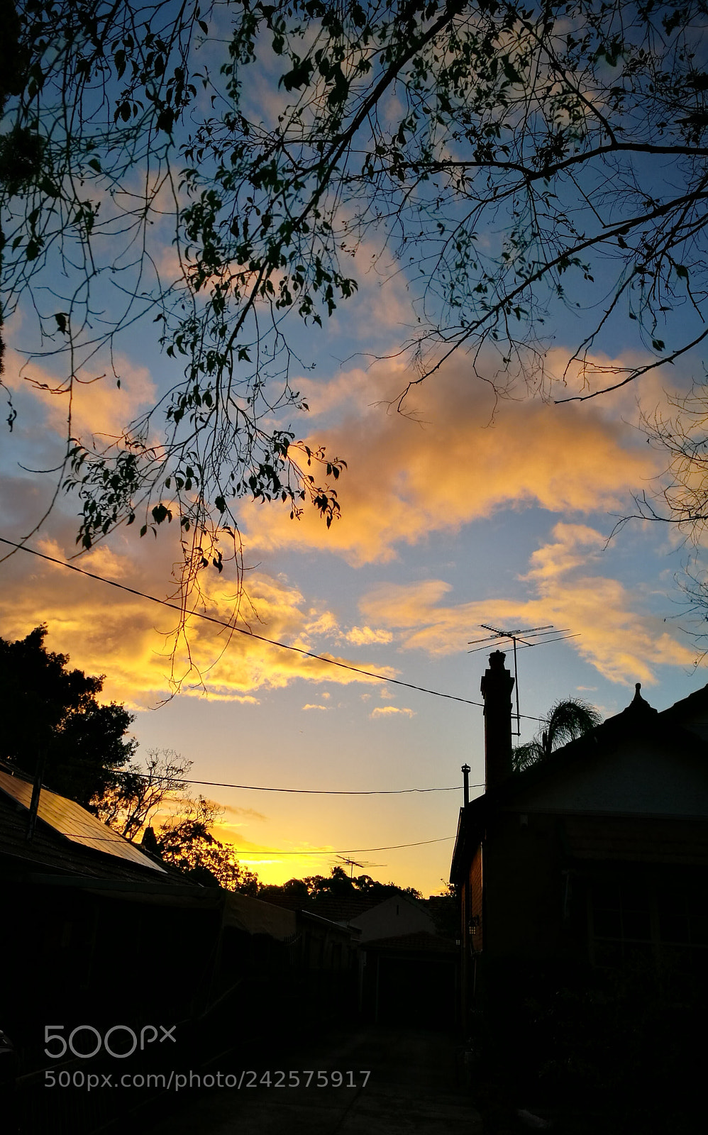 HUAWEI P9 sample photo. Untitled photography