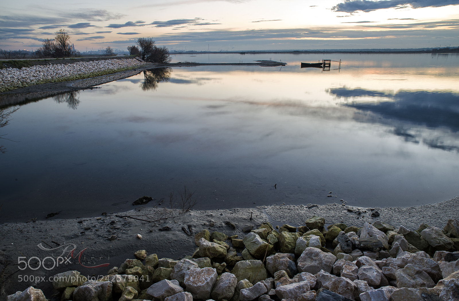Nikon D610 sample photo. Untitled photography