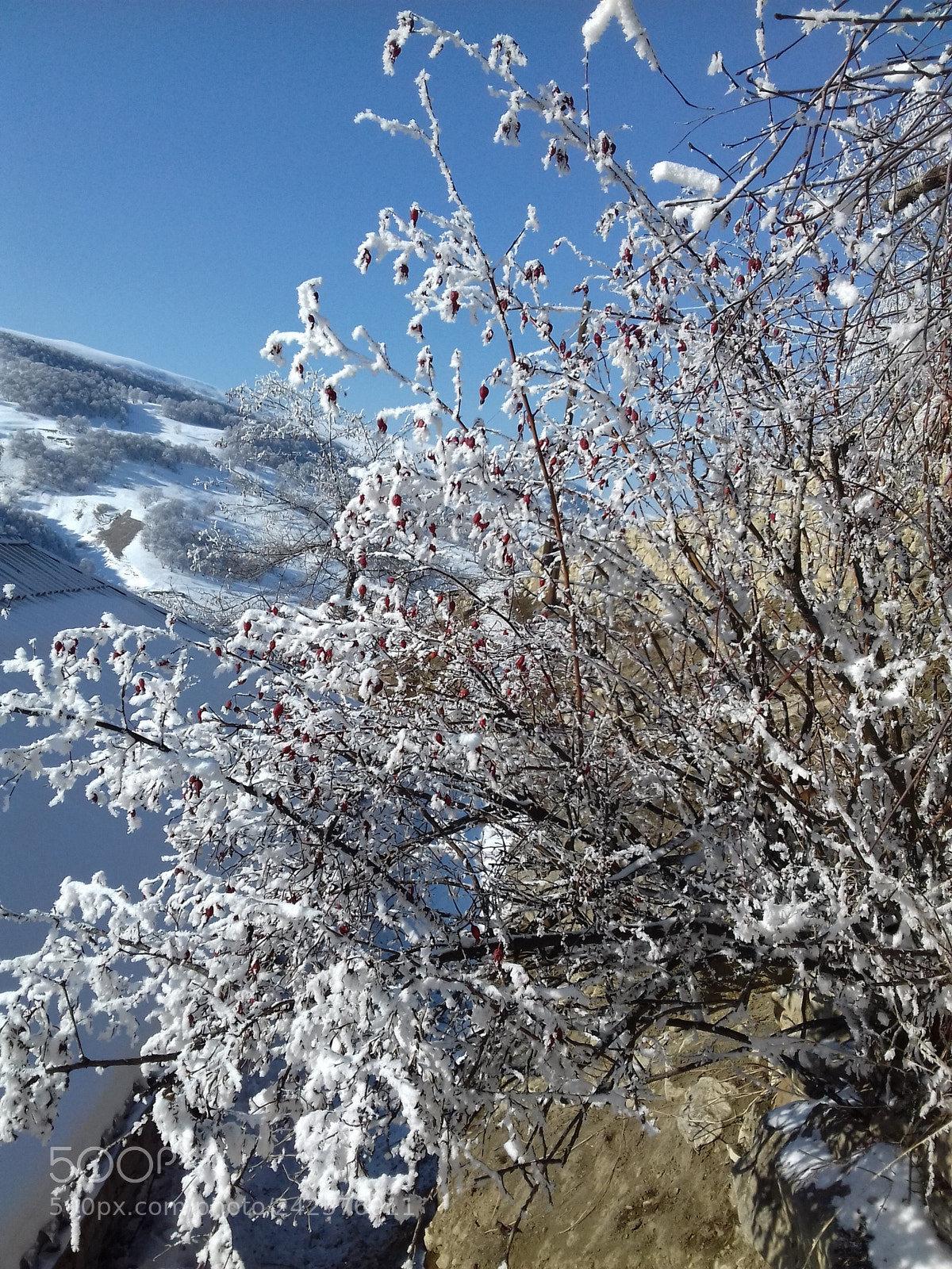 Samsung Galaxy J3(2016) sample photo. Dagestan  photography