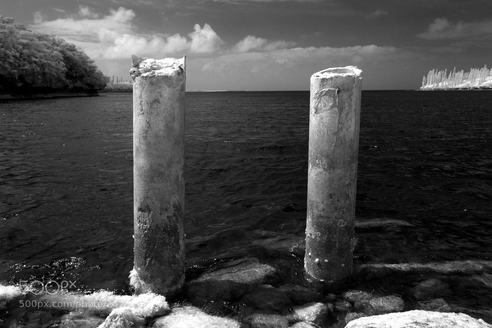 Canon EOS 50D sample photo. Poles photography