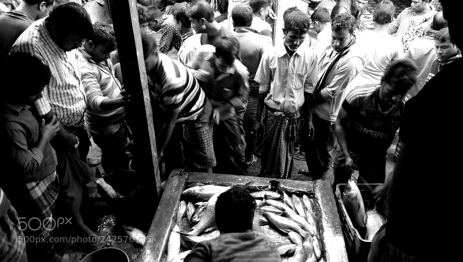 vivo 1601 sample photo. Fish market photography