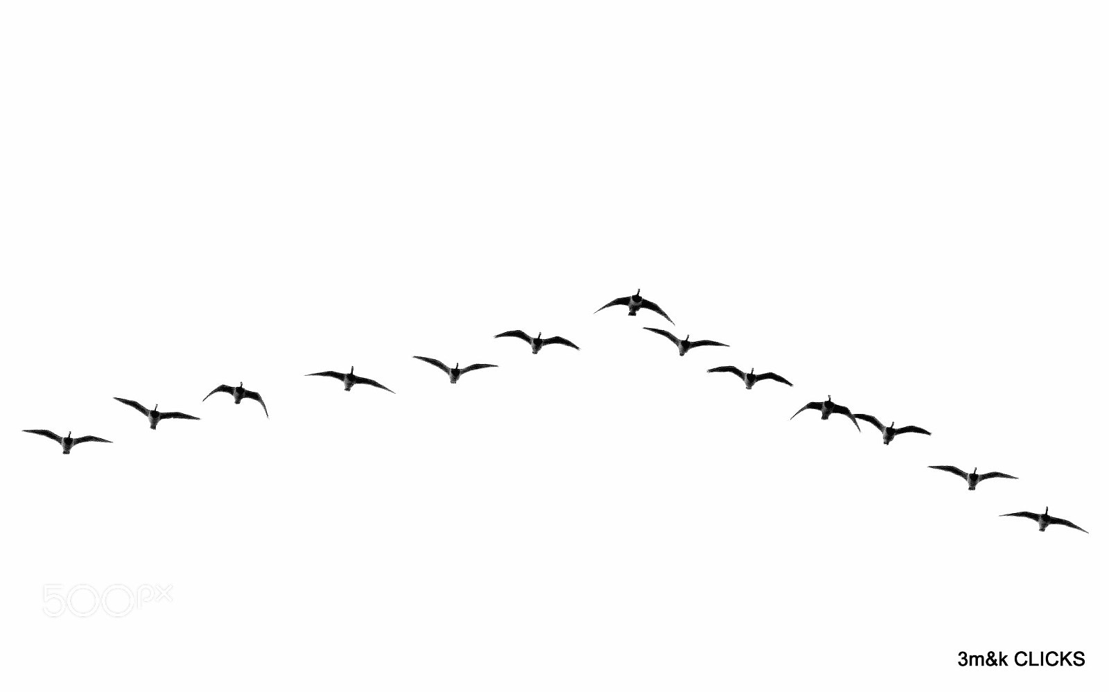 Panasonic Lumix DMC-GH2 sample photo. Flying together... photography
