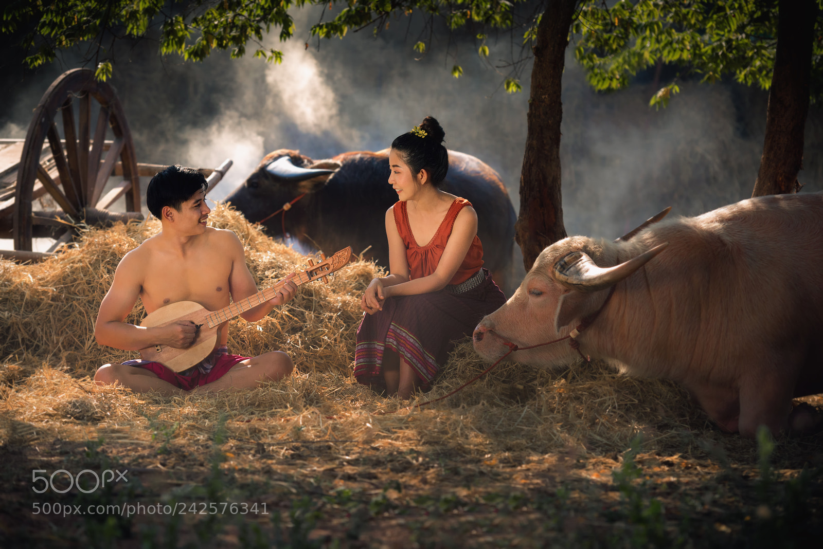 Nikon D810 sample photo. Rhythm photography
