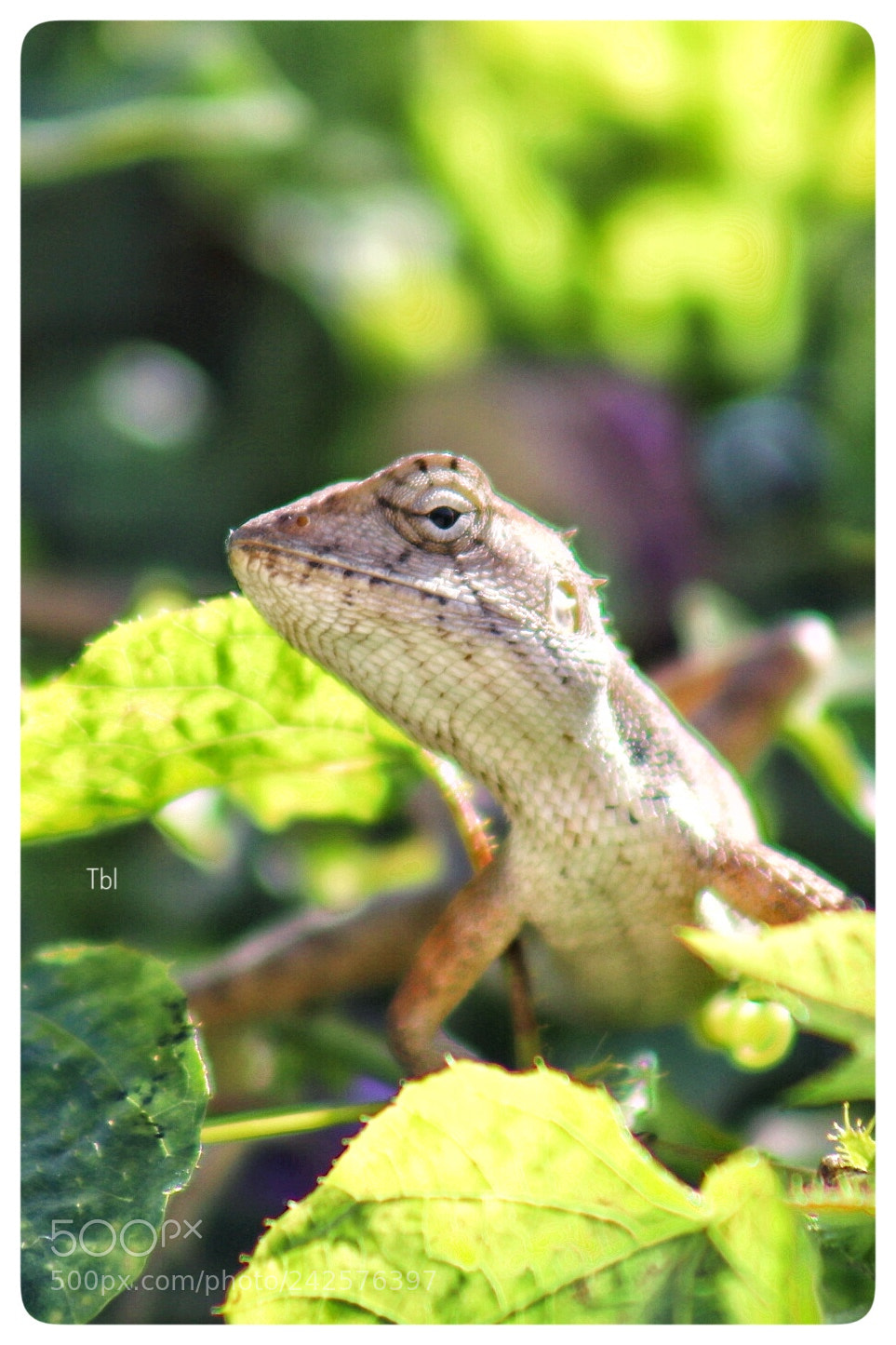 Canon EOS 77D (EOS 9000D / EOS 770D) sample photo. Untitled photography
