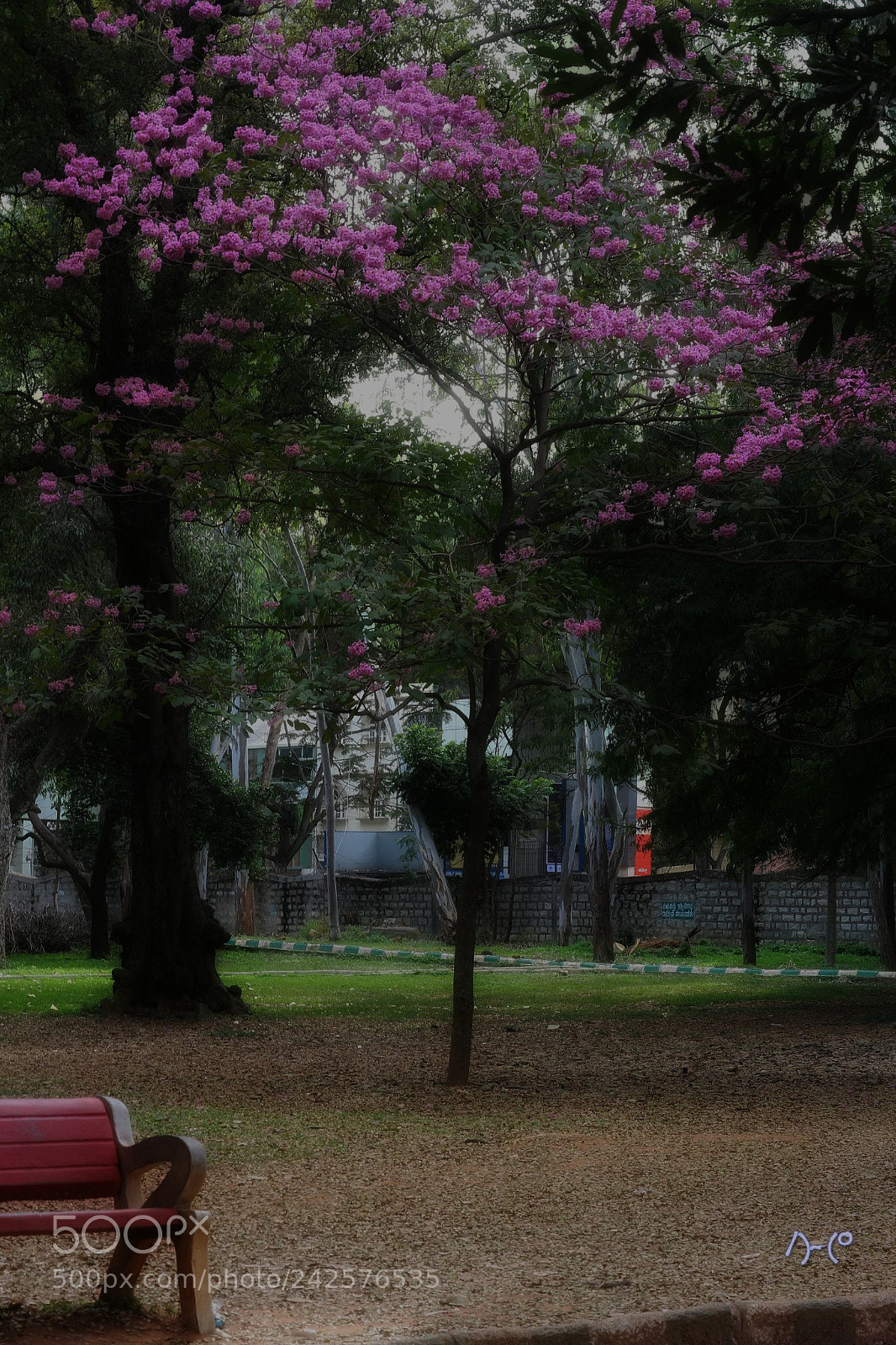 Canon EOS M10 sample photo. Romantic seat photography