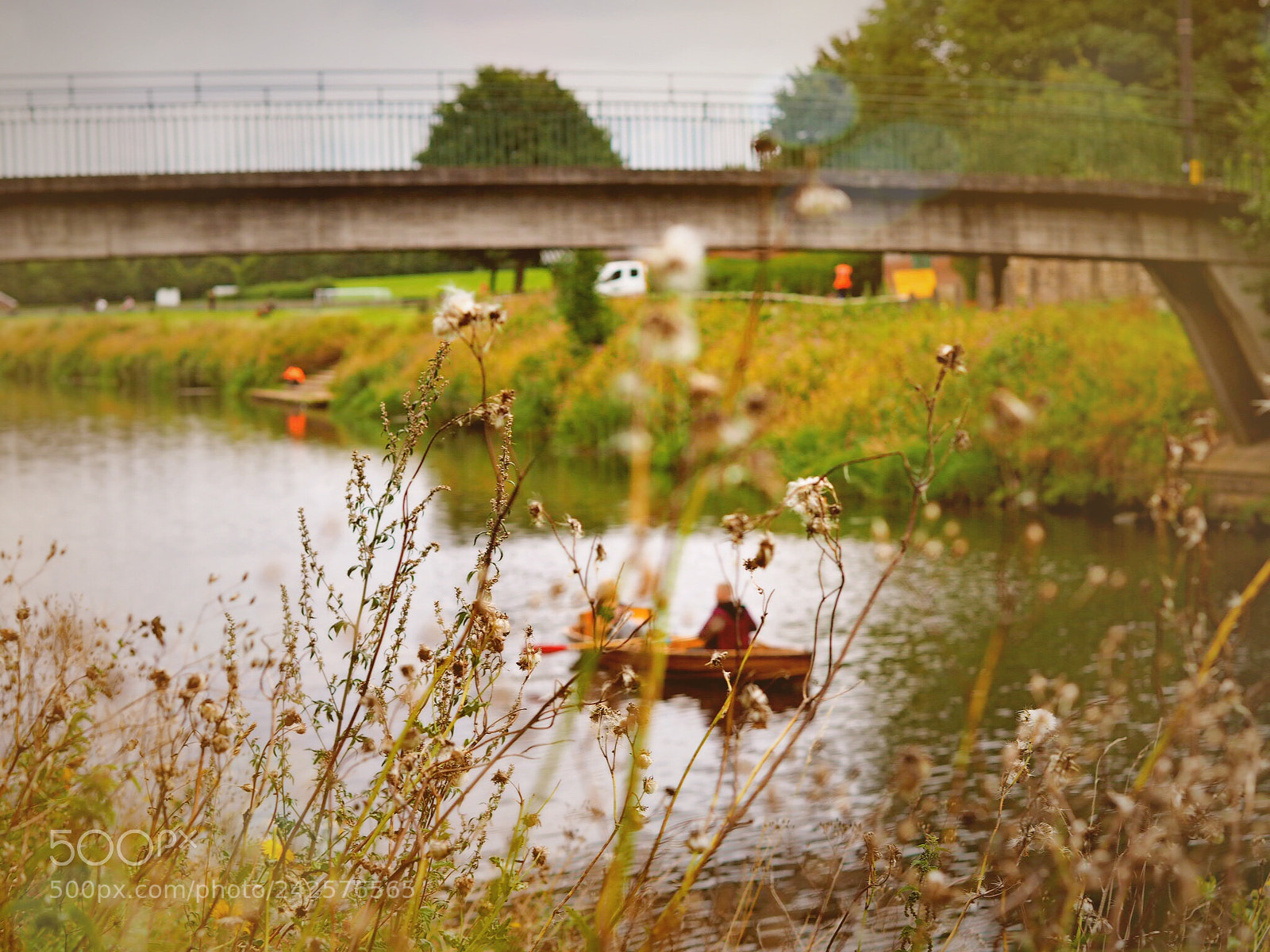 Olympus PEN E-PL8 sample photo. Untitled photography
