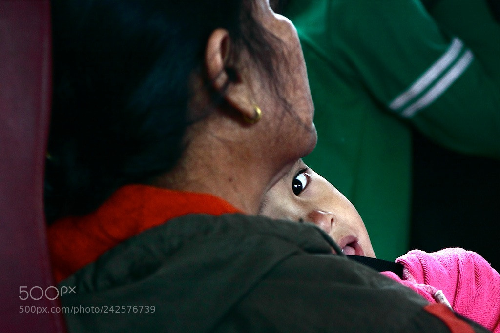Canon EOS 50D sample photo. | photography