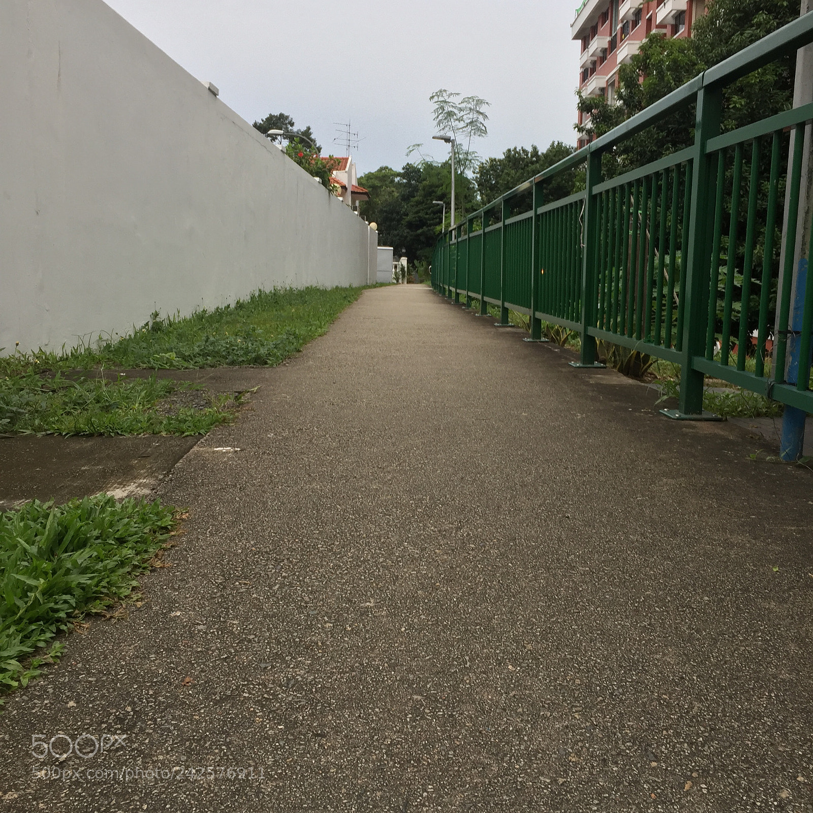 Apple iPhone 6 sample photo. 1 view-point(7) photography