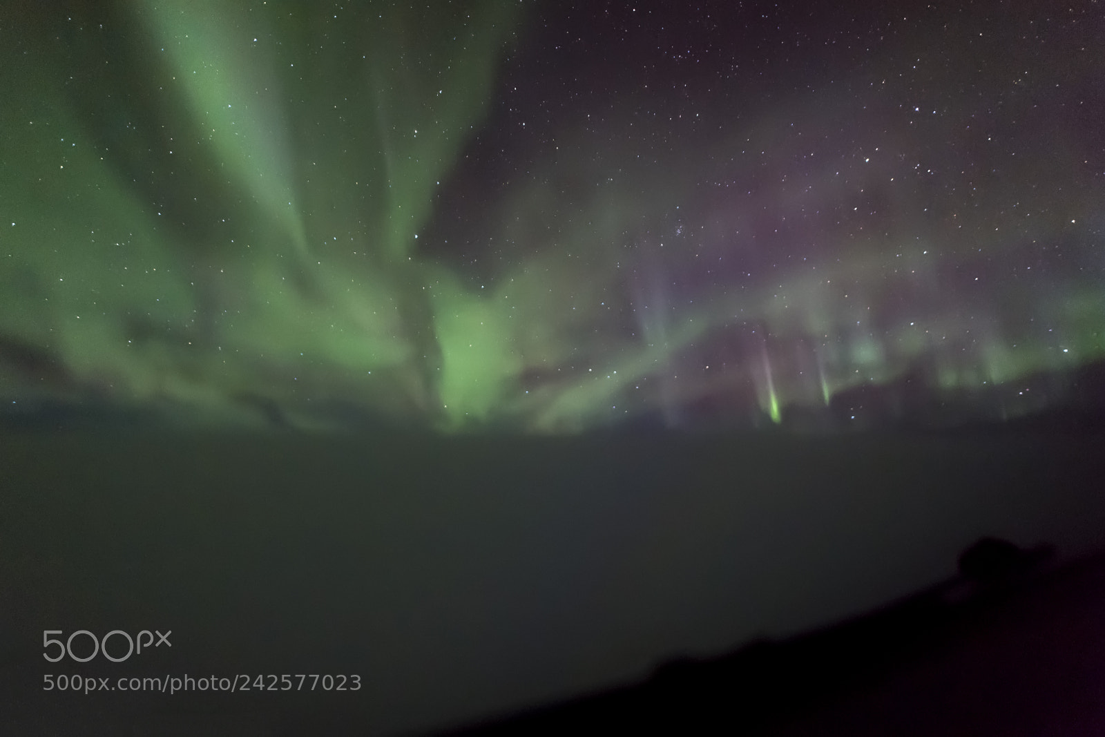 Nikon D5 sample photo. Aurora photography
