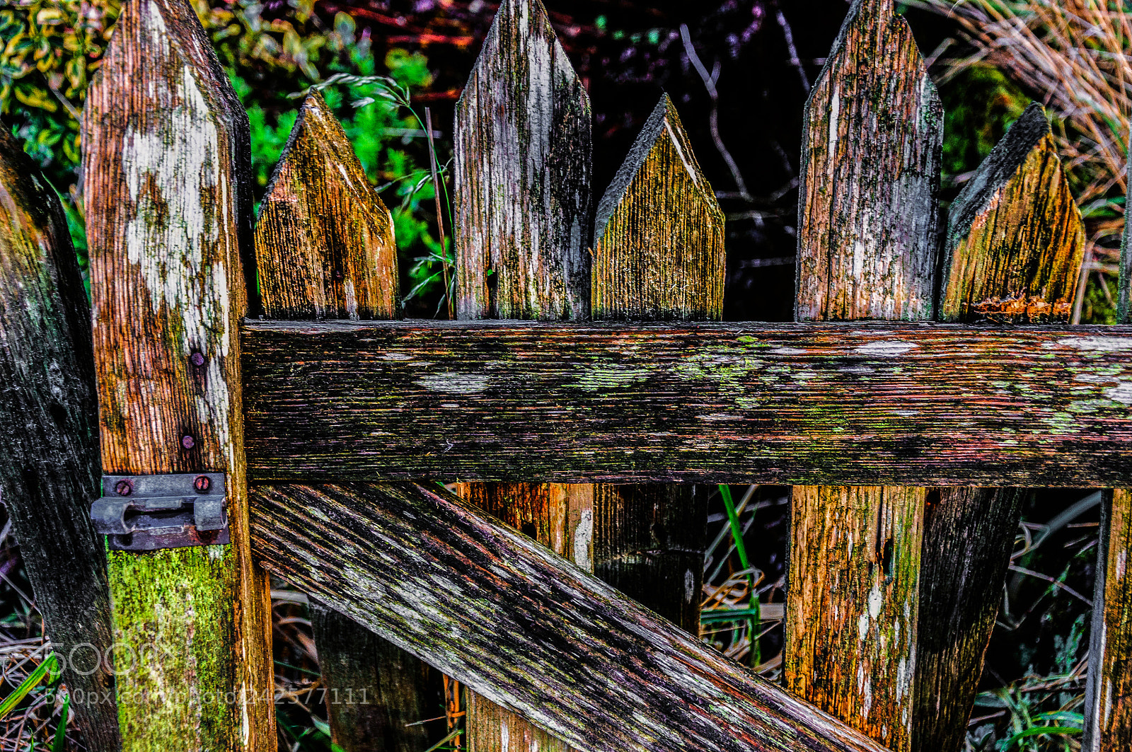 Nikon D90 sample photo. Gate photography