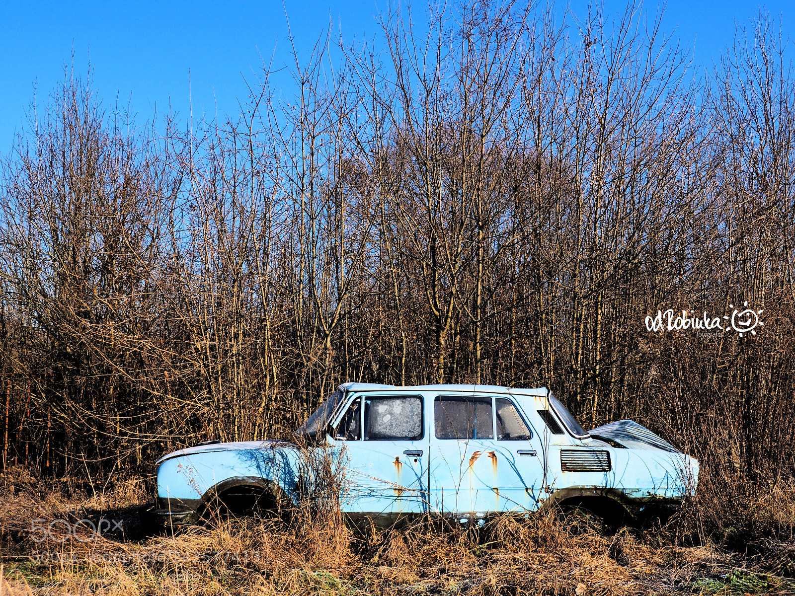 Olympus OM-D E-M10 II sample photo. Forgotten photography