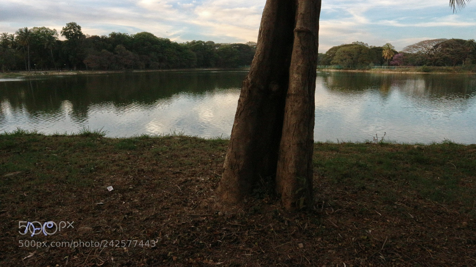 Canon EOS M10 sample photo. Lake side serenity photography