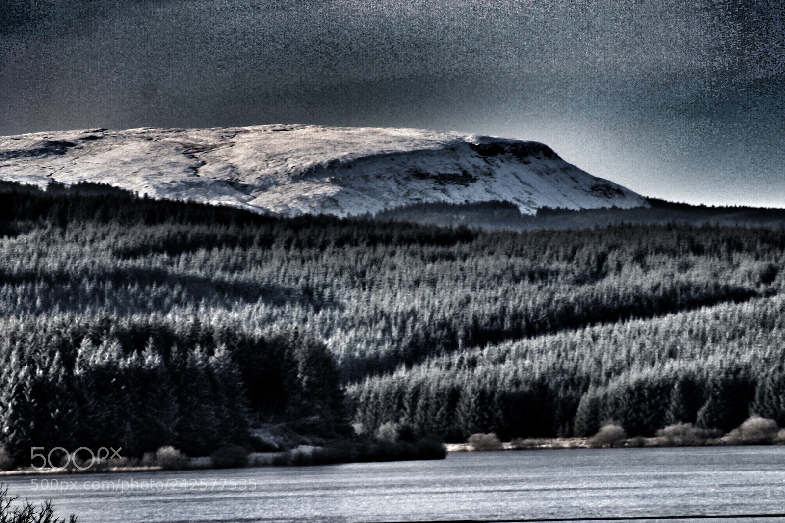 Canon EOS 1100D (EOS Rebel T3 / EOS Kiss X50) sample photo. Carronbridge scotland photography