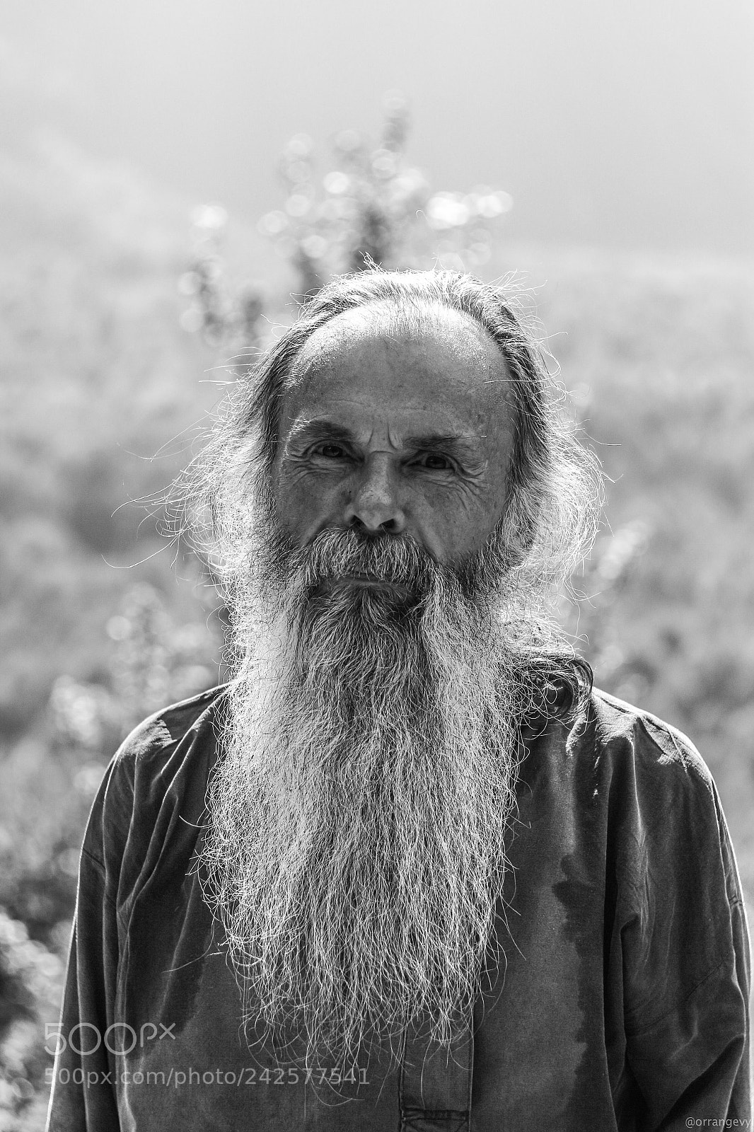 Canon EOS 650D (EOS Rebel T4i / EOS Kiss X6i) sample photo. Local resident of pskhu photography