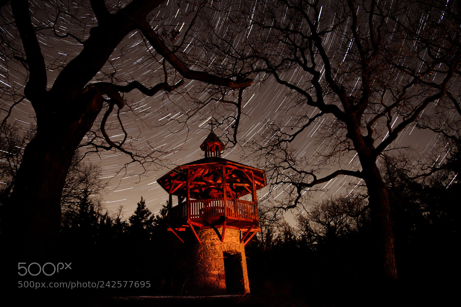 Nikon D5100 sample photo. Startrails above the tower photography