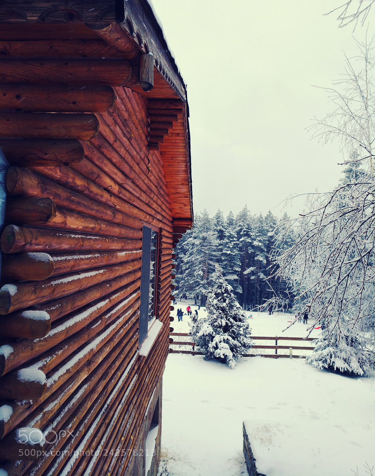 HUAWEI nova sample photo. January snowy day photography