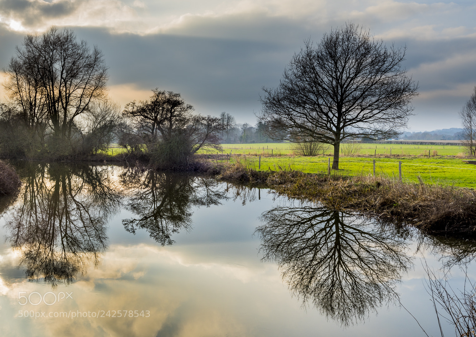 Nikon D810 sample photo. Winter ouse. photography