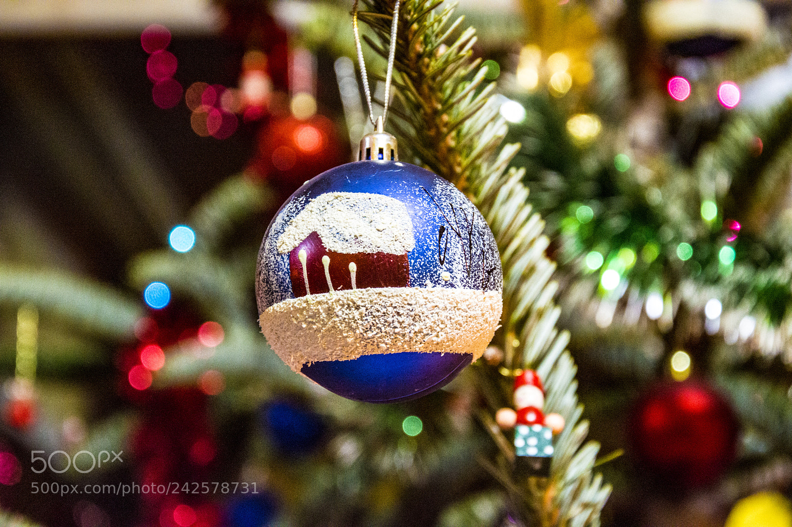Nikon D3200 sample photo. Globe photography