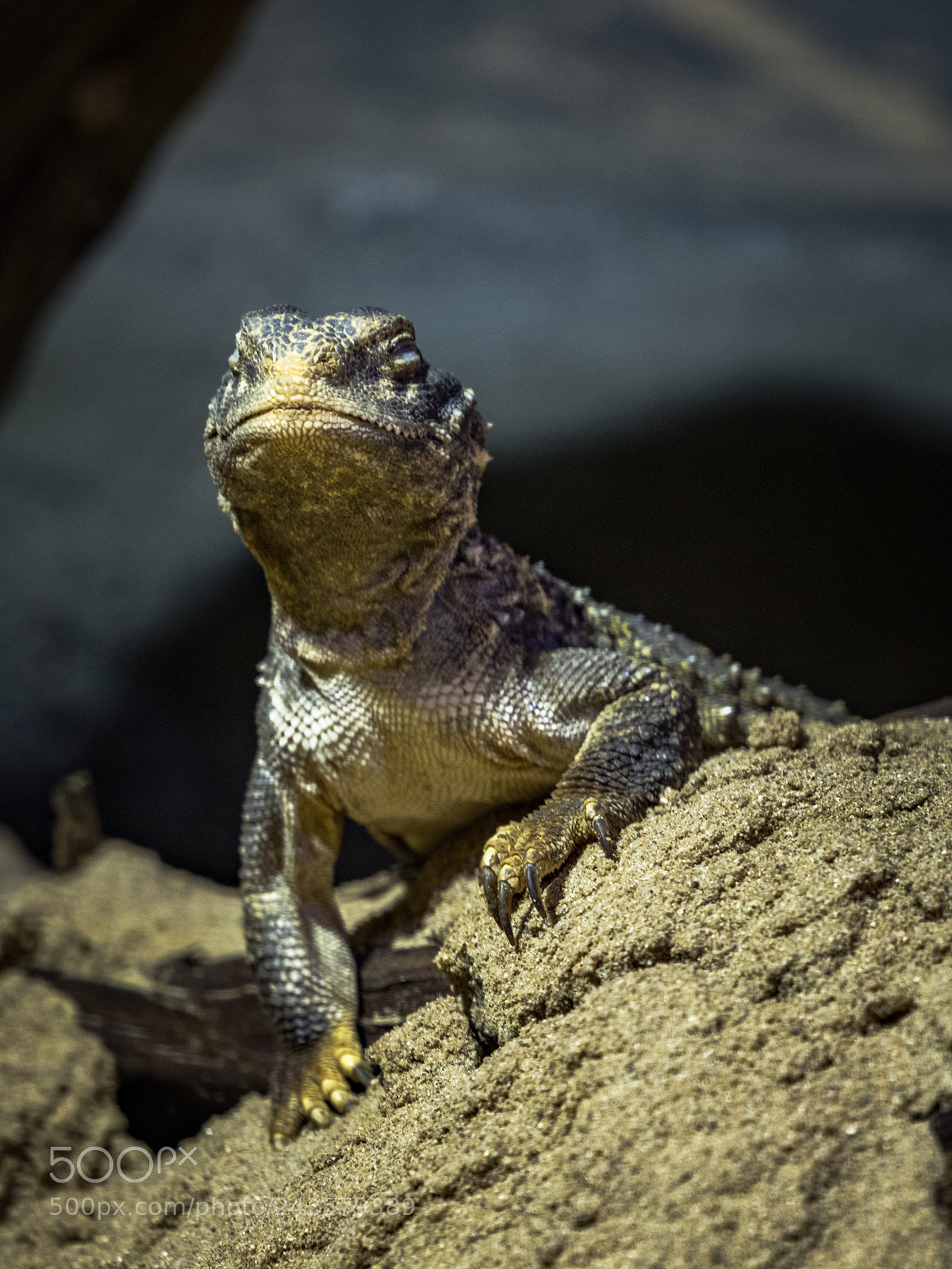 Canon EOS 6D Mark II sample photo. Chillout photography