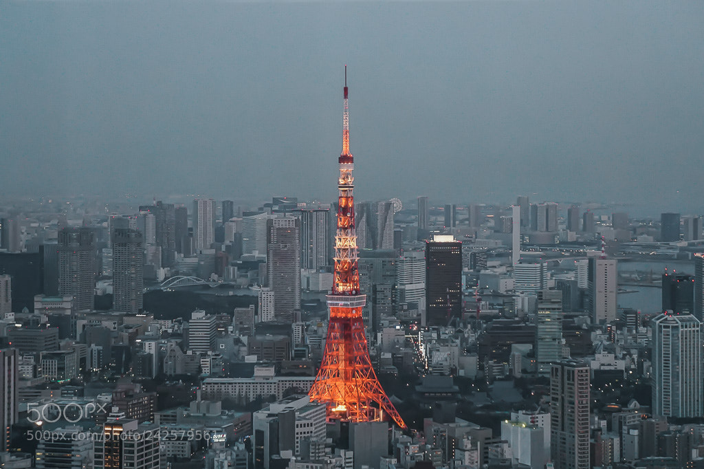 Sony Alpha a5000 (ILCE 5000) sample photo. Tokyo tower? photography