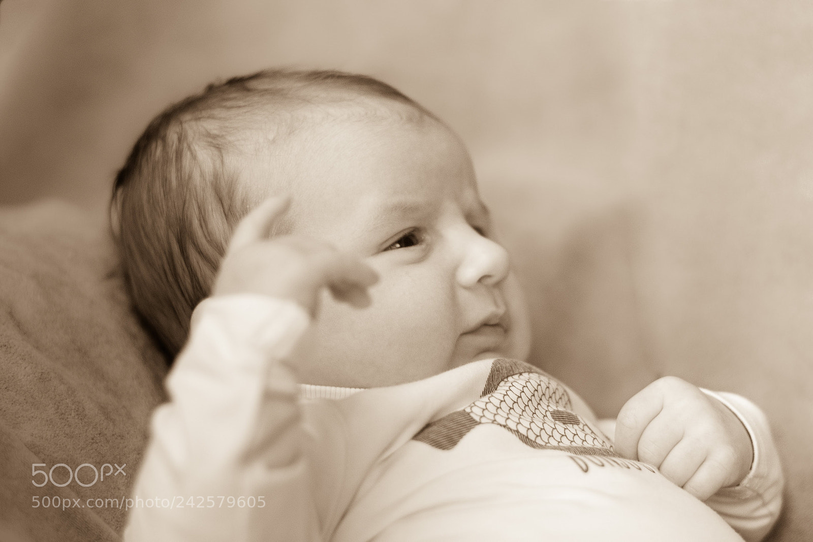Nikon D500 sample photo. Newborn photography