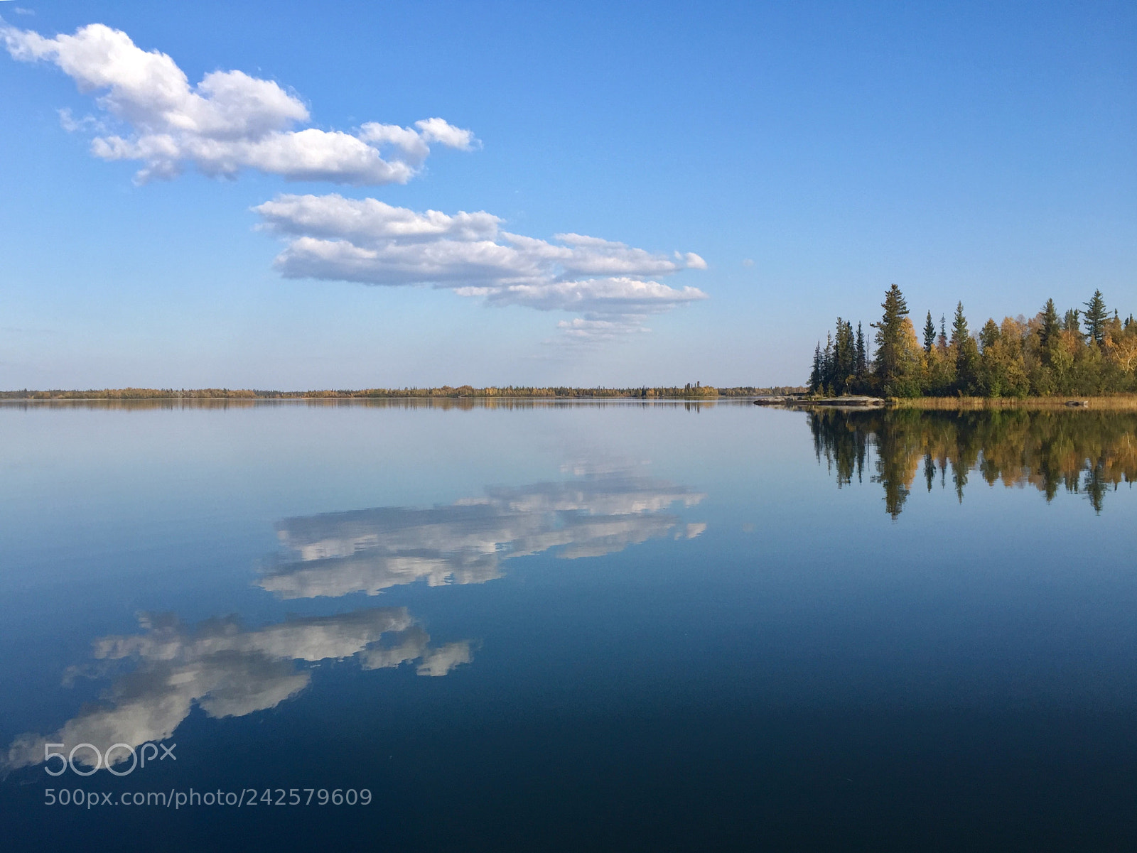 Apple iPhone 6 Plus sample photo. A fine autumn day photography