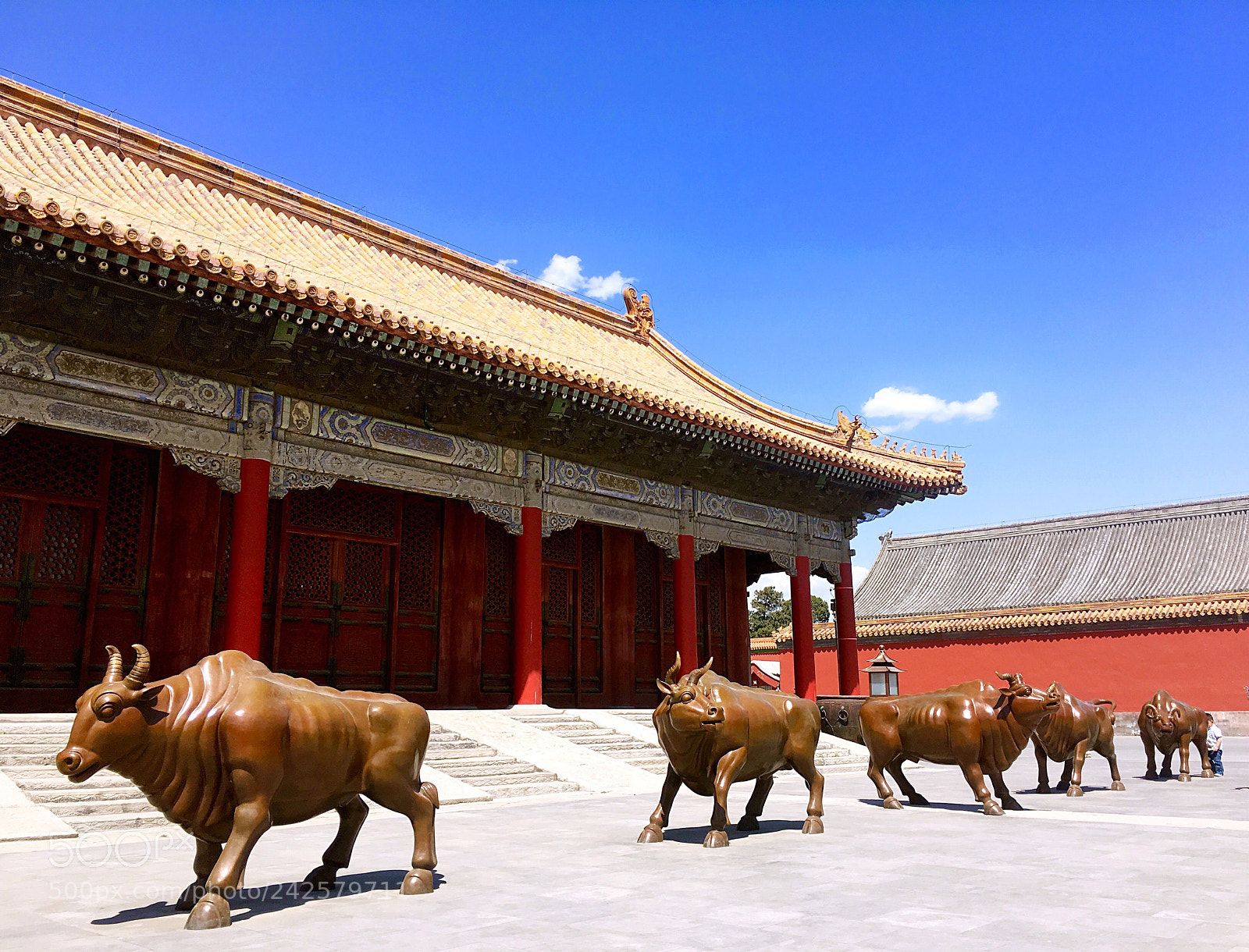 Apple iPhone 6s Plus sample photo. The forbidden city photography