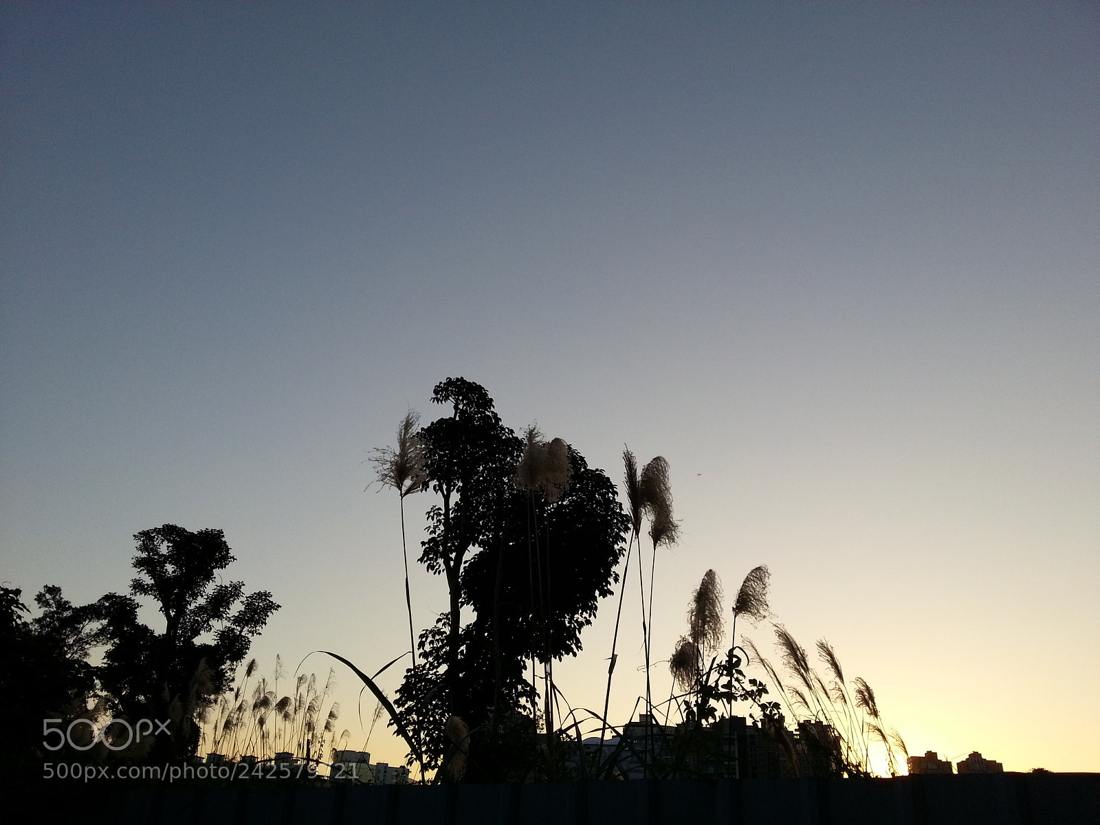 Samsung Galaxy Note4 sample photo. 夕陽-冬 photography
