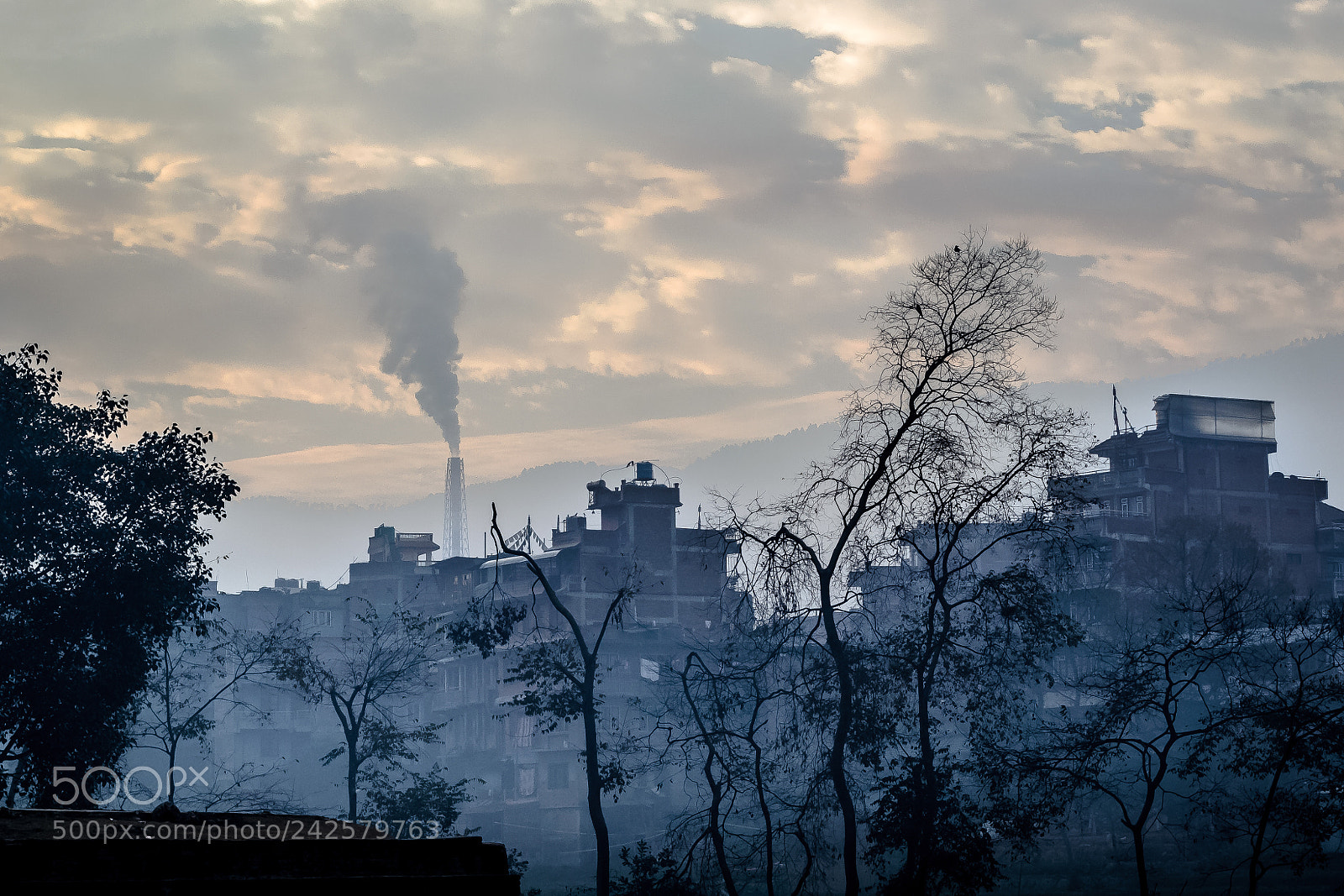 Nikon D3100 sample photo. Misty morning photography