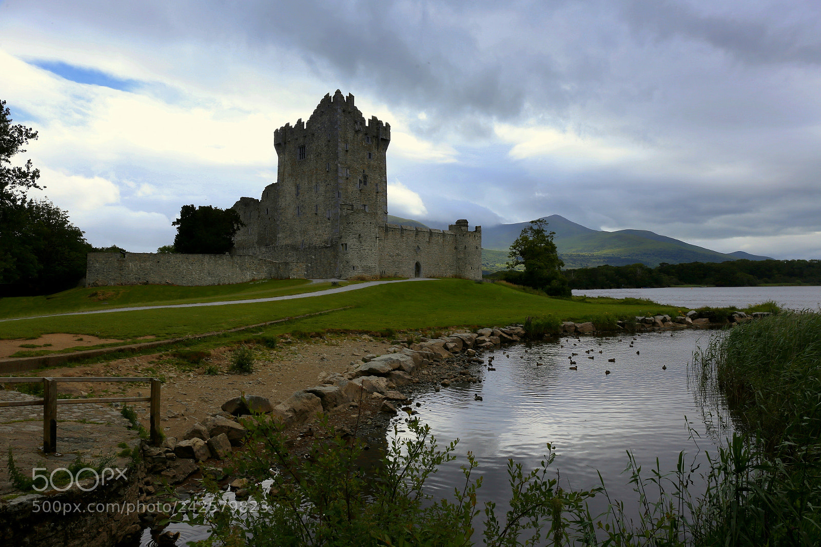 Canon EF 24-70mm F4L IS USM sample photo. Ross castle photography