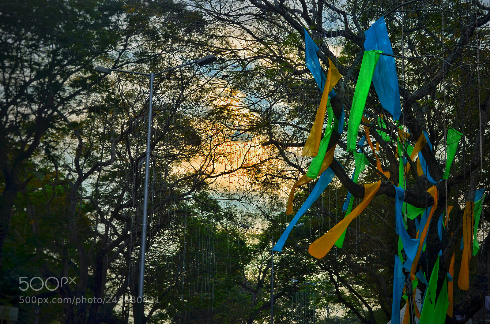 Nikon D5100 sample photo. One fine evening photography