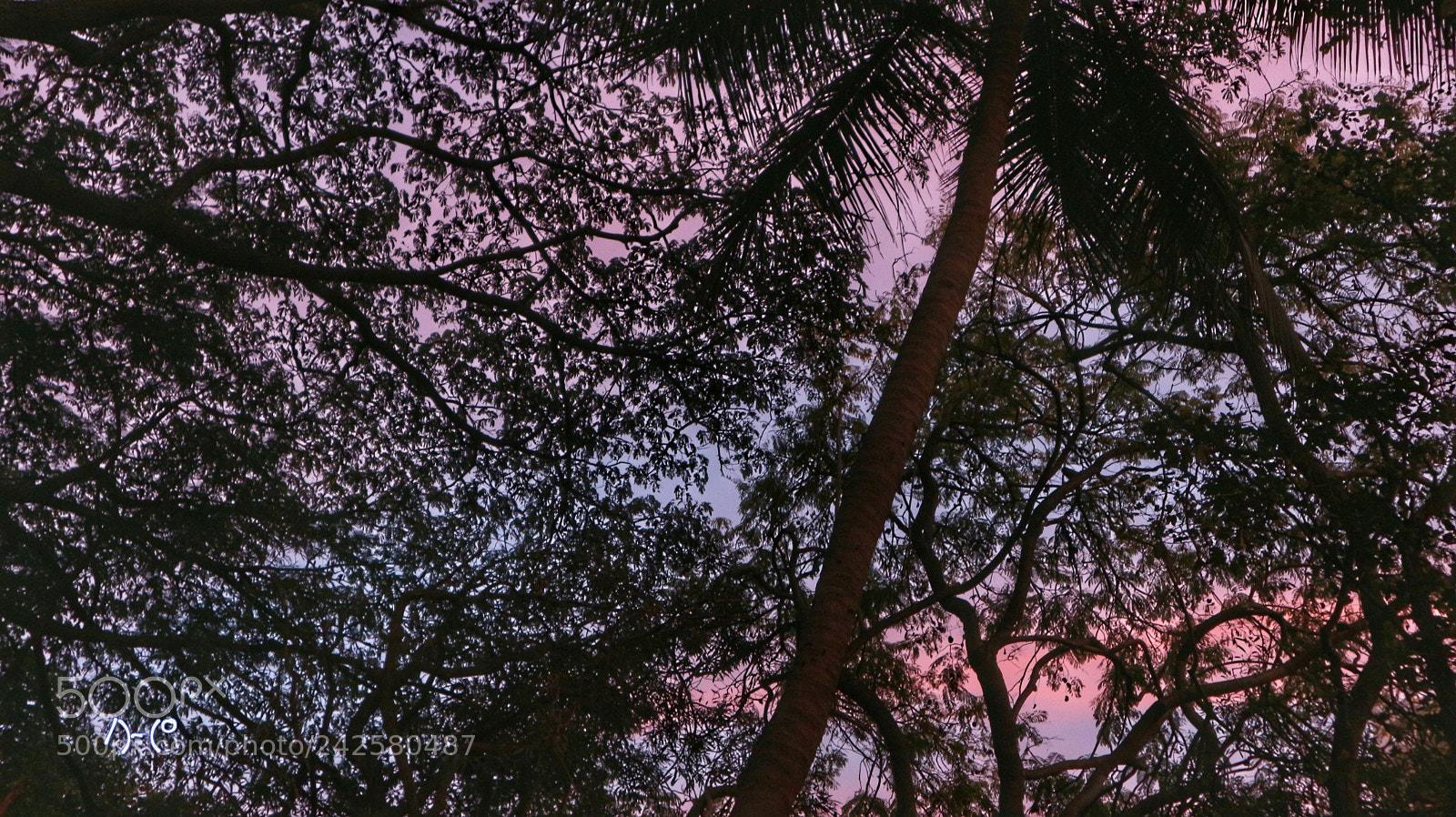 Canon EOS M10 sample photo. Filtered photography
