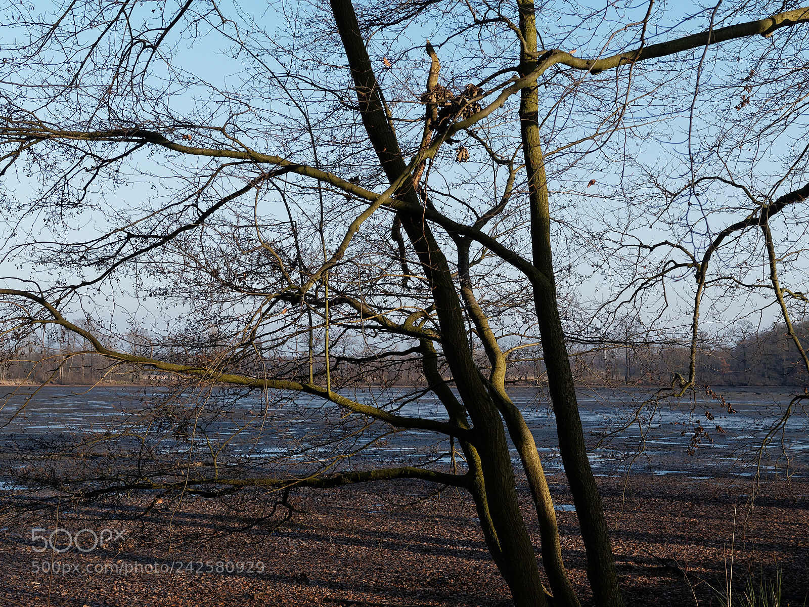 Olympus OM-D E-M5 sample photo. Bs-riddagshausen, naherholungsgebiet photography
