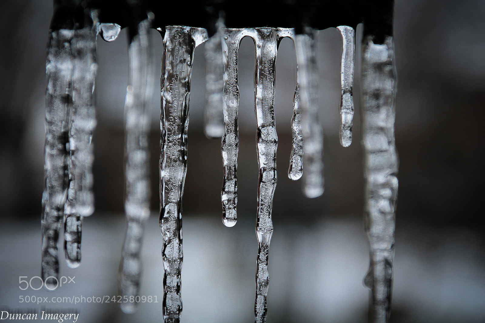 Canon EOS 1100D (EOS Rebel T3 / EOS Kiss X50) sample photo. Icicle photography