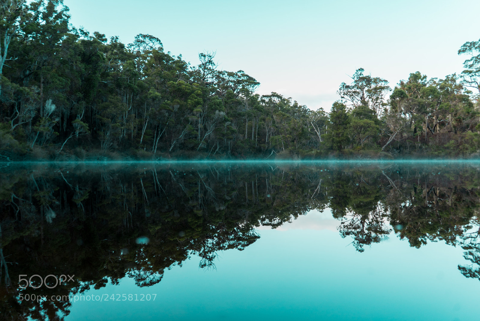 Sony a7S II sample photo. Early morning reflection photography