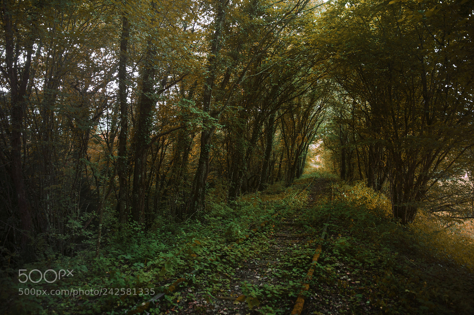 Nikon Df sample photo. Abandoned railway photography