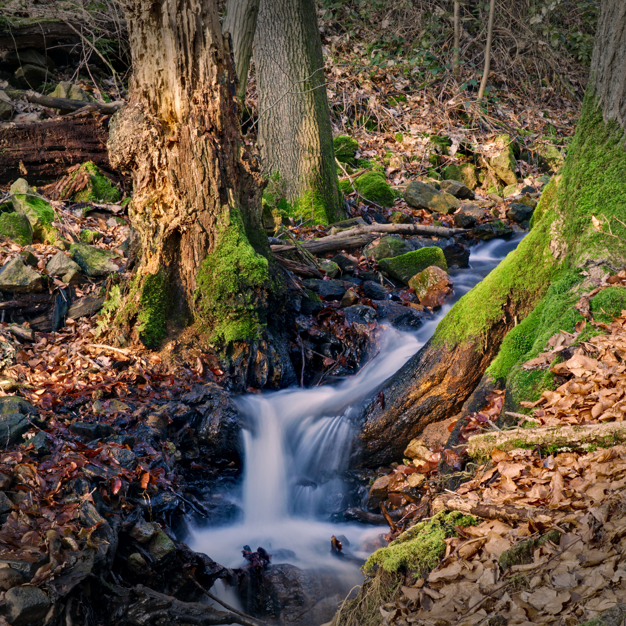 Sony a6300 sample photo. Little rivulet. photography