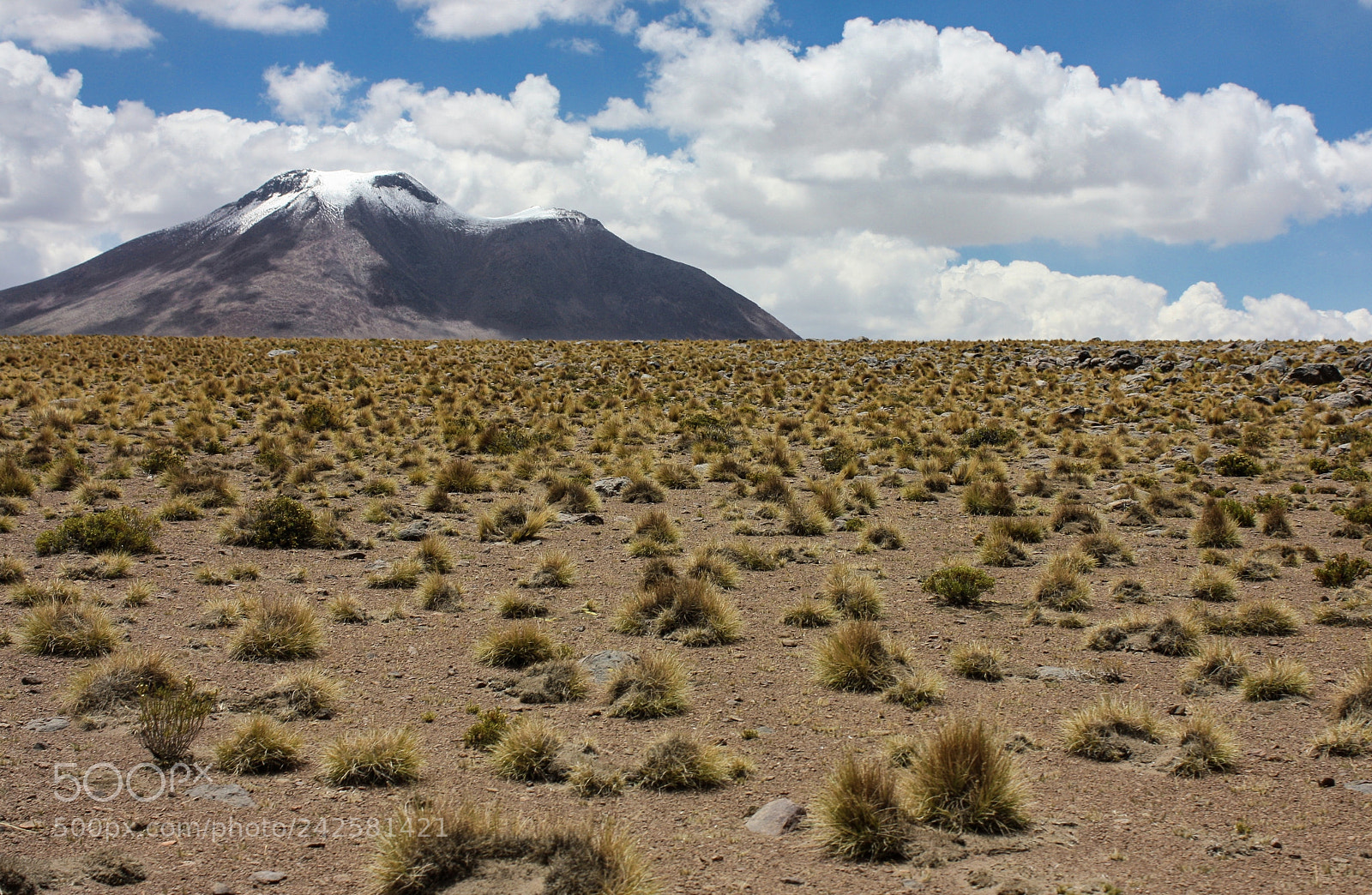 Canon EOS 450D (EOS Rebel XSi / EOS Kiss X2) sample photo. At 3500 meters between photography