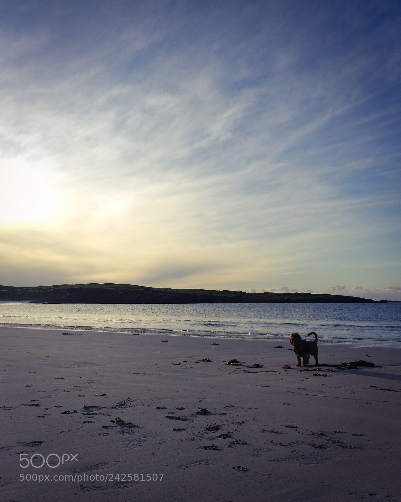 OnePlus A3003 sample photo. Dogs bay, ireland  photography