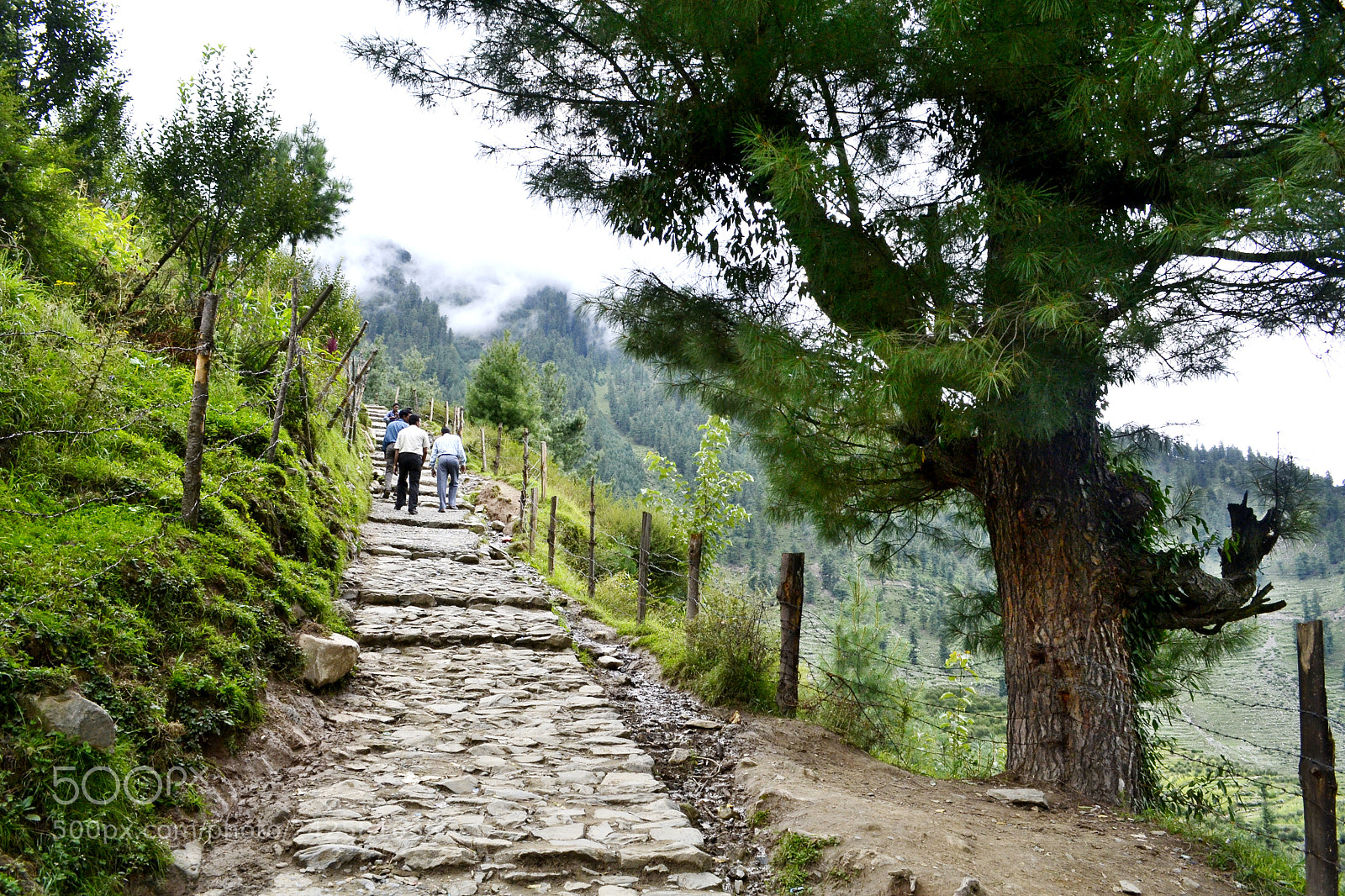 Nikon D3100 sample photo. Bharmour view in himachal photography