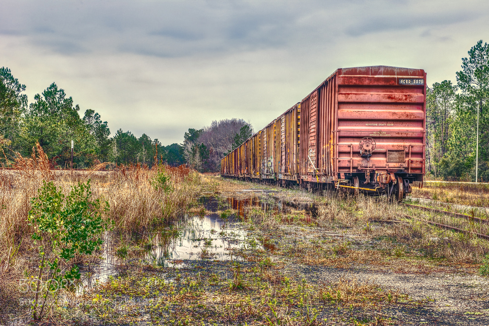 Nikon D800 sample photo. Yulee, florida photography