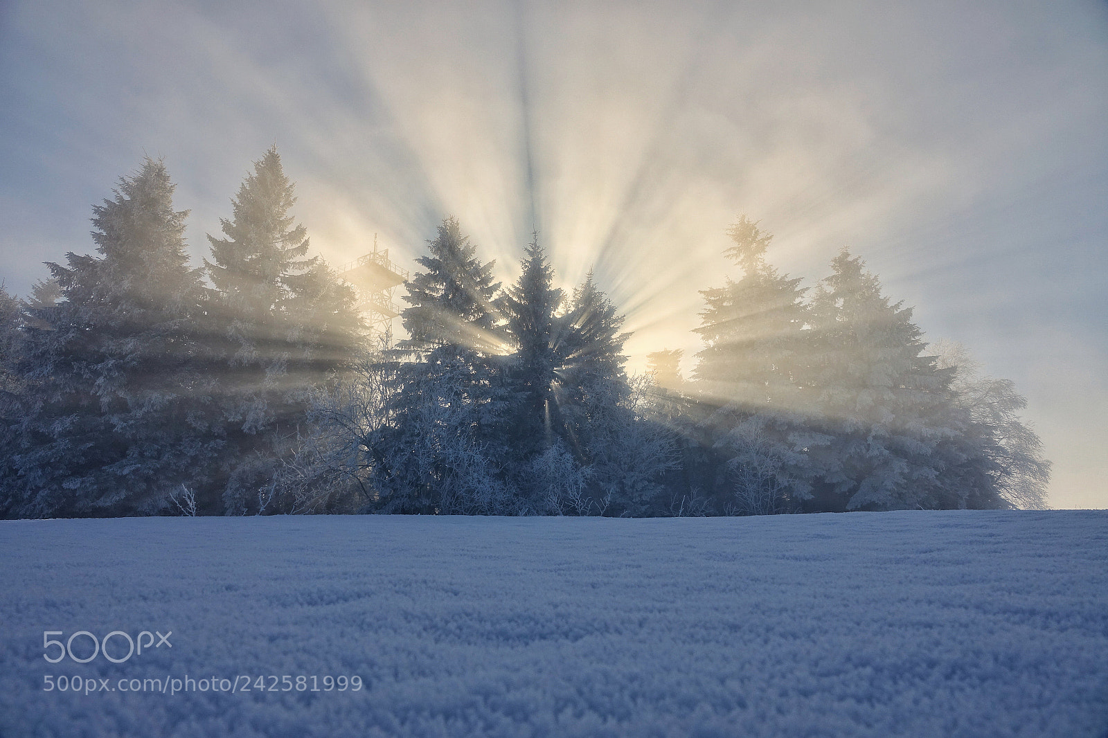 Sony Cyber-shot DSC-RX10 III sample photo. Wintersonne photography