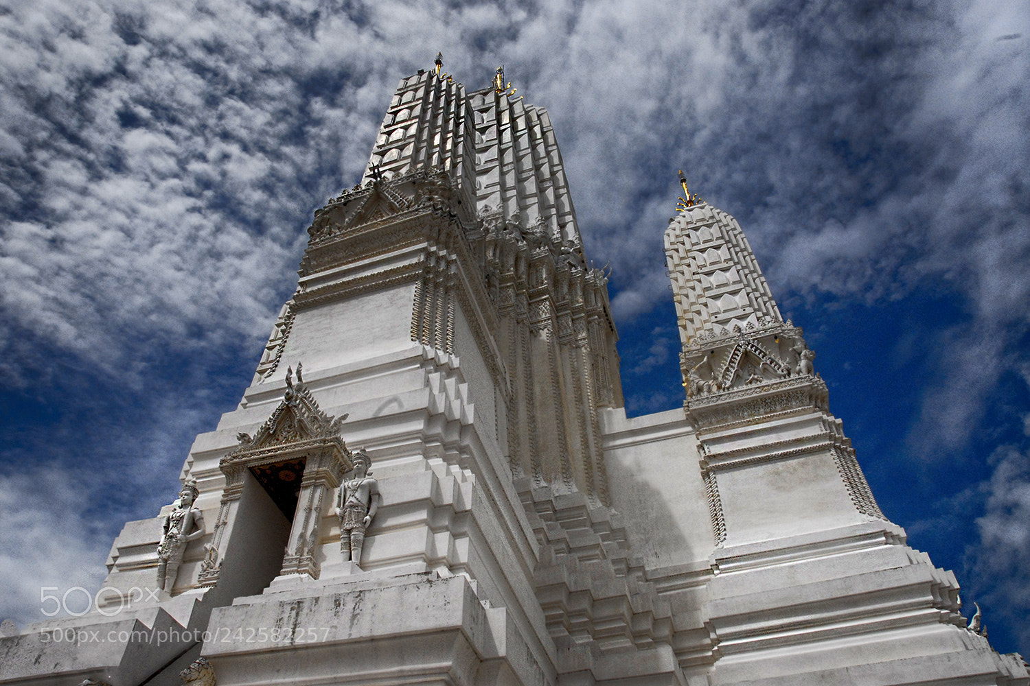 Nikon D200 sample photo. Reaching for the sky photography
