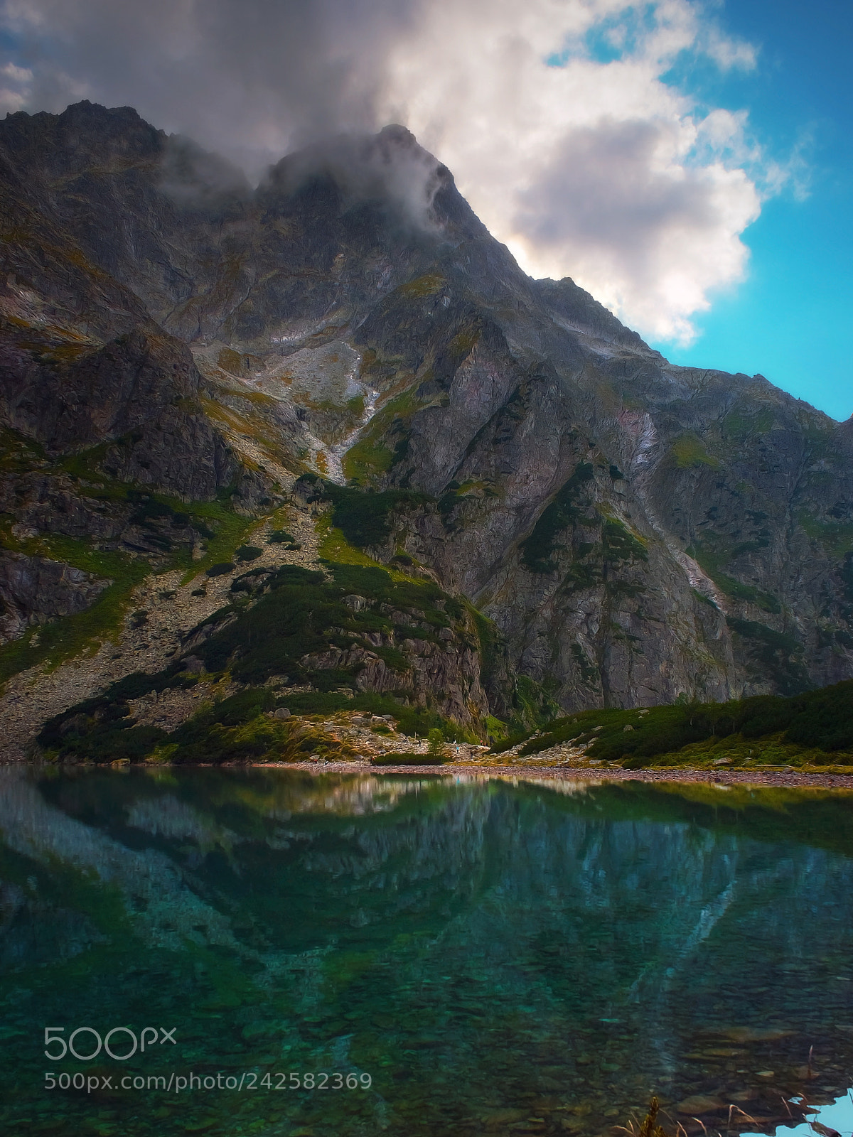 Sony Alpha DSLR-A200 sample photo. The vertical world photography