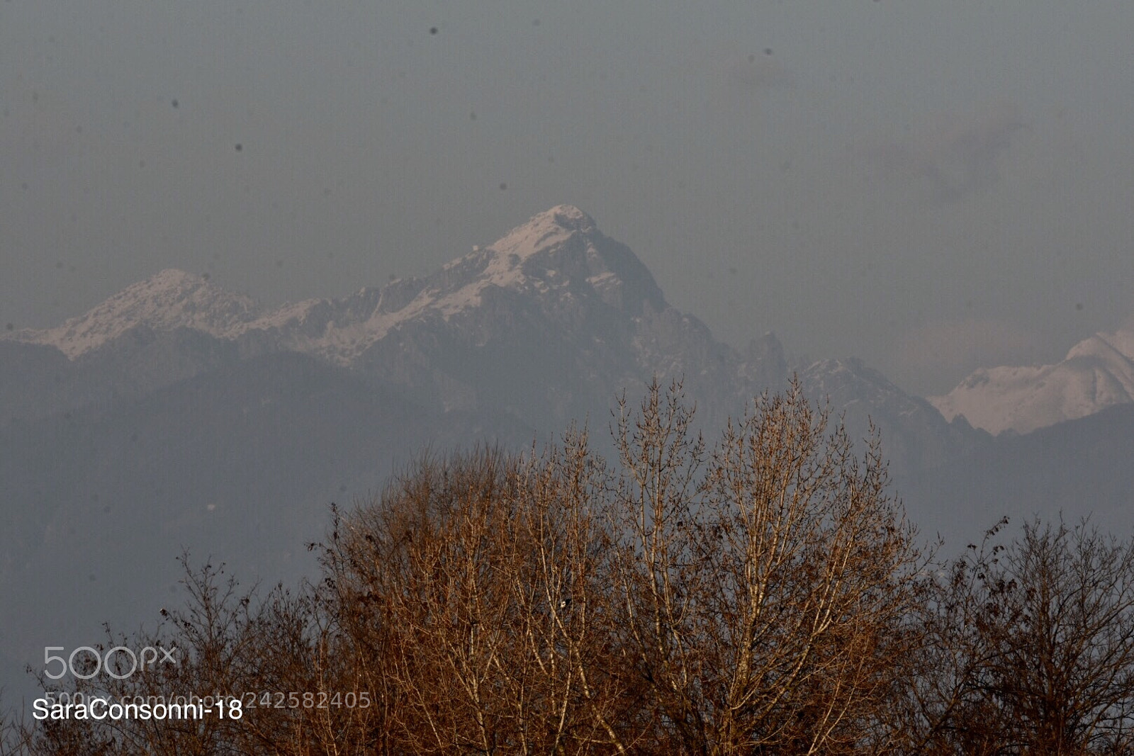 Nikon D7200 sample photo. Inverno photography