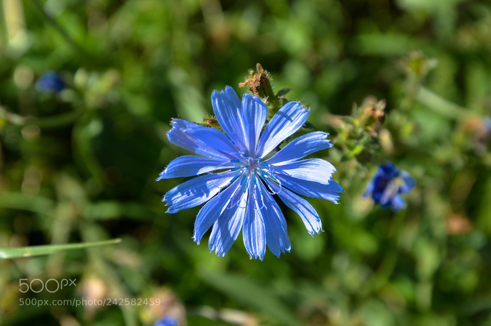 Nikon D3200 sample photo. 36364650624.jpg photography